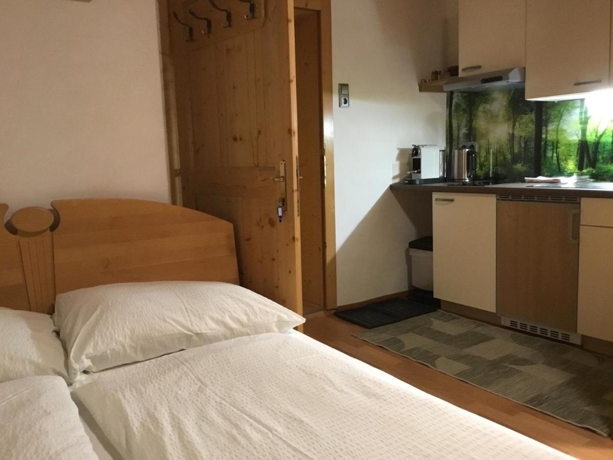 Ferienwohnungen Aigner Haus im Ennstal Bagian luar foto