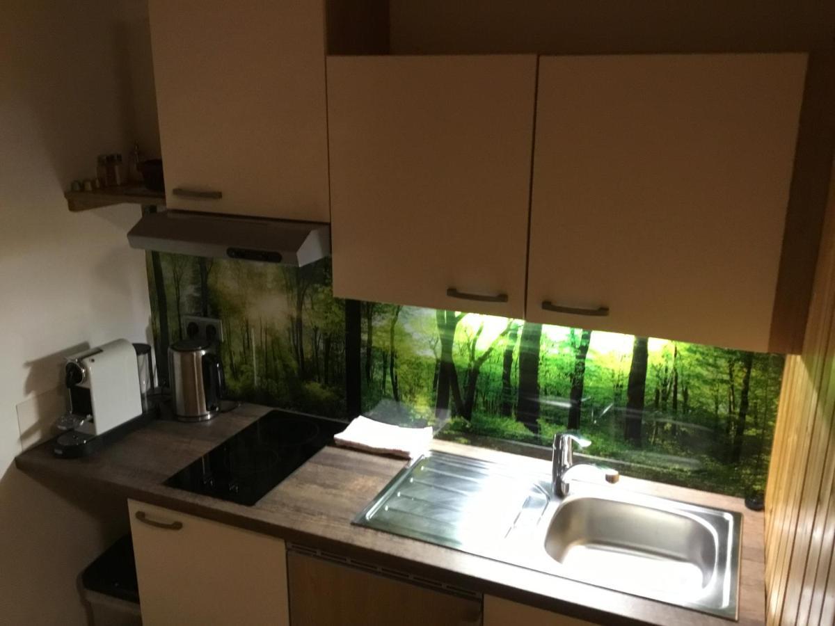 Ferienwohnungen Aigner Haus im Ennstal Bagian luar foto